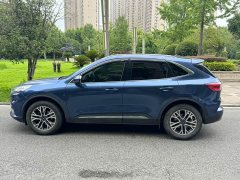 Ruiji 2020 EcoBoost 245 two-wheel drive leisure - фото 3