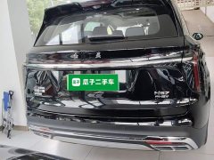 Hongqi HS7 PHEV 2.0T PHEV four-wheel drive Qichang version 6 seats - фото 6