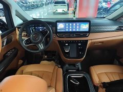Hongqi HQ9 PHEV 2.0T four-wheel drive business version - фото 10