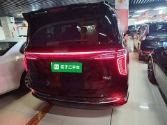 Hongqi HQ9 PHEV 2.0T four-wheel drive business version - фото 6