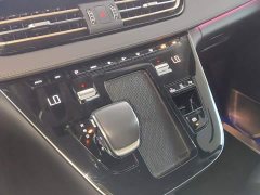 Hongqi HQ9 PHEV 2024 2.0T four-wheel drive luxury version - фото 14