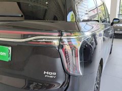 Hongqi HQ9 PHEV 2024 2.0T four-wheel drive luxury version - фото 8