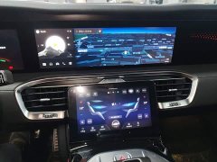 Hongqi E-HS9 690km flagship version six seats - фото 13