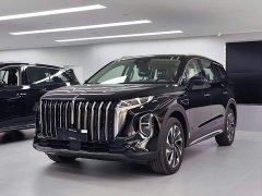 Hongqi HS7 PHEV 2025 2.0T PHEV 2WD Flagship Edition 6 seats - фото 1