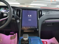 Hongqi HS7 PHEV 2025 2.0T PHEV 2WD Flagship Edition 6 seats - фото 13