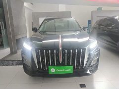 Hongqi HS5 2025 2.0T two-wheel drive Qixiang Pro version - фото 3