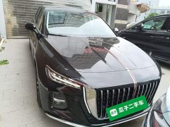 Hongqi H5 2025 2.0T automatic Qichang version - фото 3