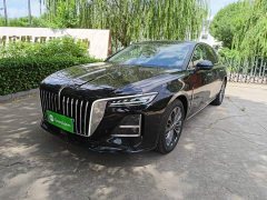 Hongqi H5 2025 2.0T automatic Qichang version - фото 1
