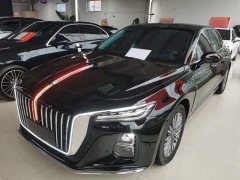 Hongqi H5 2024 2.0T Automatic Intelligent Connected Flag Edition - фото 1