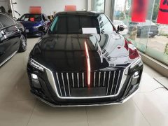 Hongqi H5 2024 2.0T Automatic Intelligent Connected Flag Edition - фото 3