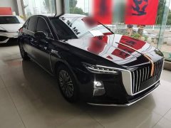 Hongqi H5 2024 2.0T Automatic Intelligent Connected Flag Edition - фото 4