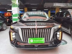 Hongqi E-HS9 690km flagship version six seats - фото 3