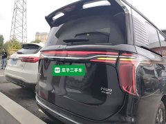 Hongqi HQ9 PHEV 2024 2.0T four-wheel drive business version - фото 6
