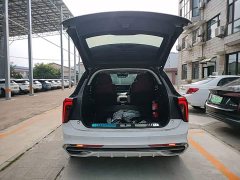 Hongqi E-HS9 660km Qichang version six seats - фото 19