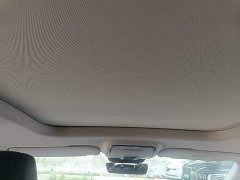 Hongqi HS7 PHEV 2.0T PHEV four-wheel drive Qichang version 6 seats - фото 18