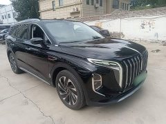 Hongqi HS7 PHEV 2.0T PHEV four-wheel drive Qichang version 6 seats - фото 4