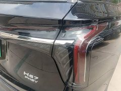 Hongqi HS7 PHEV 2.0T PHEV four-wheel drive Qichang version 6 seats - фото 8