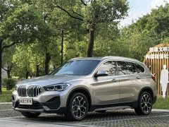 BMW X1 sDrive25Li Leading - фото 1