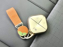 Baojun Yueye Zhizun Edition - фото 12
