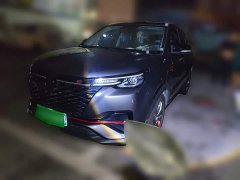 Changan CS55PLUS 2022 Blue Whale Edition 1.5T DCT Luxury - фото 1