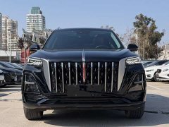Hongqi HS5 2023 2.0T Qixiang Pro version - фото 2