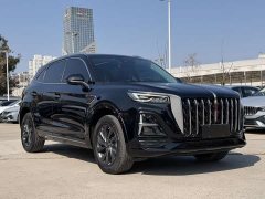 Hongqi HS5 2023 2.0T Qixiang Pro version - фото 3