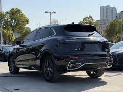 Hongqi HS5 2023 2.0T Qixiang Pro version - фото 4