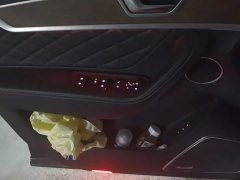 Hongqi HS7 2022 2.0T DCT two-wheel drive Zhilianqi Chang Edition, five seats - фото 7