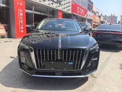 Hongqi H5 PHEV 2025 130 super hybrid version - фото 3