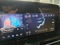 Hongqi HS5 2023 2.0T four-wheel drive Qixiang Pro version - фото 13