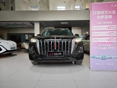 Hongqi HS5 2023 2.0T four-wheel drive Qixiang Pro version - фото 2