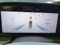 Hongqi HS5 2.0T Qixiang Pro version - фото 12