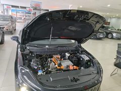 Hongqi E-QM5 facelift basic travel version - фото 20