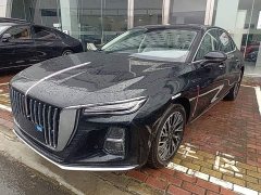 Hongqi H5 2025 2.0T automatic Qichang version - фото 1