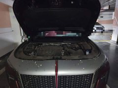 Hongqi H5 2.0T Automatic Zhilianqichang Edition - фото 17