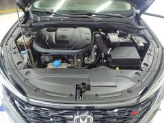 Ford EADO PLUS Blue Whale NE 1.4T GDI DCT Premium Type - фото 10