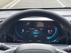 Ford EADO 2021 PLUS Blue Whale NE 1.4T GDI DCT Premium Type - фото 16