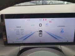 Hongqi HS3 PHEV 2024 115km Jinwei Edition - фото 14