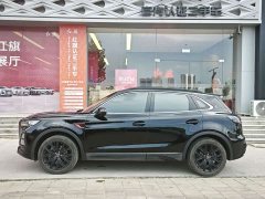 Hongqi HS5 2.0T two-wheel drive Xuanying Edition - фото 3
