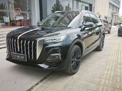 Ora Hongqi HS5 2.0T two-wheel drive 600,000 units commemorative edition - фото 1