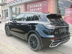 Ora Hongqi HS5 2.0T two-wheel drive 600,000 units commemorative edition - фото 5