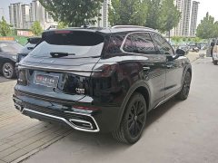 Ora Hongqi HS5 2.0T two-wheel drive 600,000 units commemorative edition - фото 9
