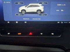 SAIC Roewe RX5 2023 1.5T Superior Edition - фото 14