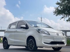 Changan Benben E-Star National Edition Xinyue Edition (Fast Charging Edition) Lithium Iron Phosphate (31.18kWh) - фото 3