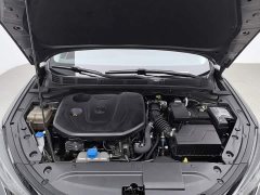 Ford EADO 2021 PLUS Blue Whale NE 1.4T GDI DCT Premium Type - фото 6