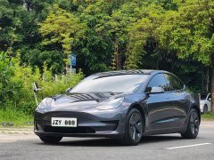 Tesla Model 3 Standard Range Rear Drive Upgraded Version - фото 1
