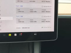 Tesla Model 3 Standard Range Rear Drive Upgraded Version - фото 17