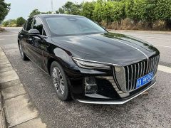 Hongqi H5 2023 2.0T Automatic Intelligent Connected Flag Edition - фото 3