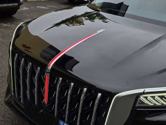 Hongqi HS5 2023 2.0T Qixiang Pro version - фото 13