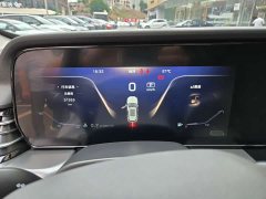 Hongqi HS5 2023 2.0T Qixiang Pro version - фото 20